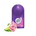 thumbnail image 1 of Desodorante Mujer Lady Speed Stick Powder Fresh Roll On 50 ml, 1 of 5