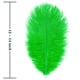 thumbnail image 3 of Plumas artificiales de avestruz verde para plantas voladoras, 15 unidades, 30 a 35 cm, 3 of 6