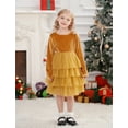 thumbnail image 3 of IDOPIP Toddler Baby Girls Christmas Velvet Dress Long Sleeve Ruffle Tulle Princess Dress, 3 of 9