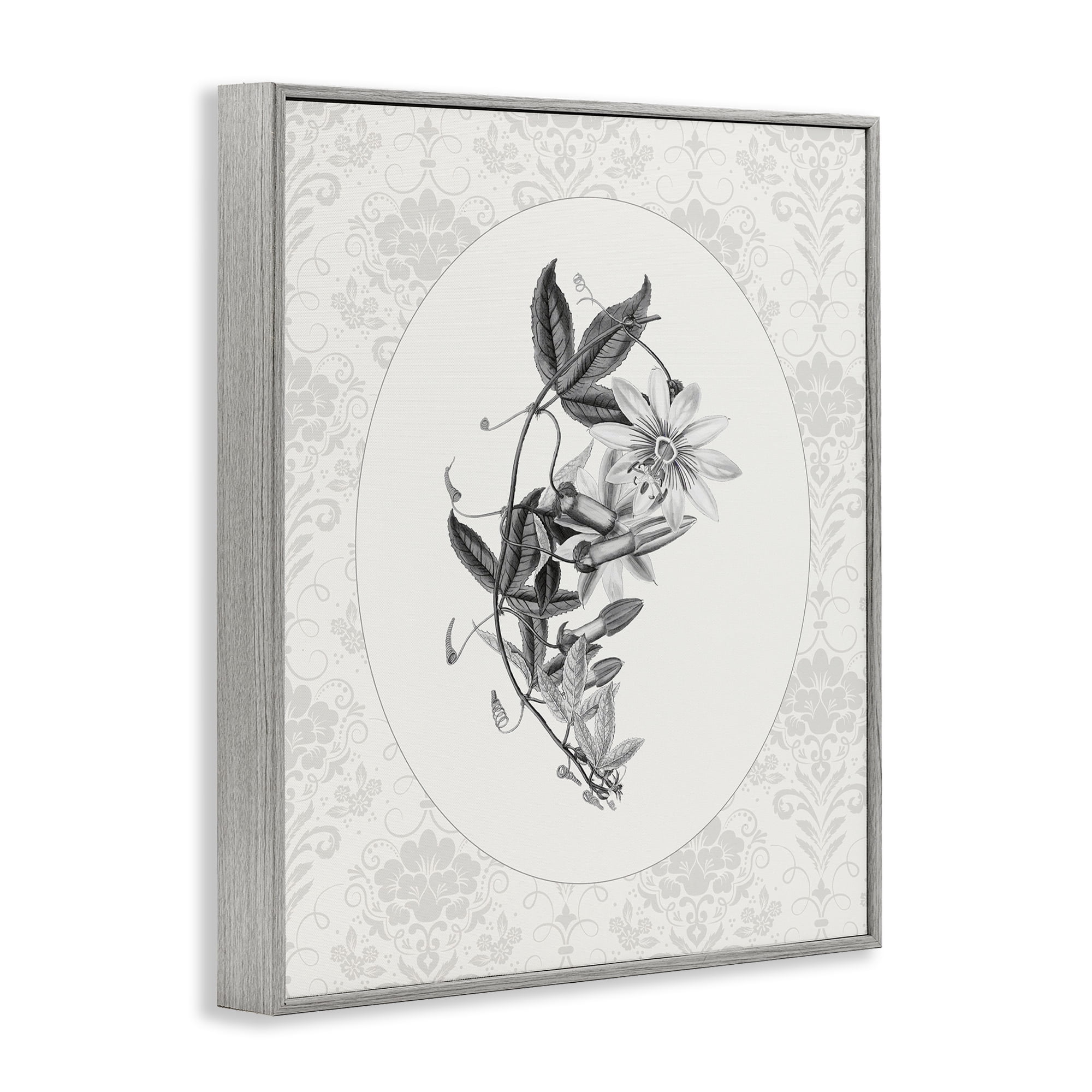 Stupell Industries Vintage Botanical & Lace Gray Framed Giclee Art, design by CAD Designs