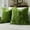 Green, variant on 22×22 Inch Velvet Throw Pillow Cover 2-Pack Skin-Friendly Soft Cushion Cover for Home Sofa Bed Living Room Bedroom Apartment Decor