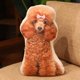 thumbnail image 5 of Almohada para mascotas Luckky: almohada con foto de mascota personalizada, almohada para mascotas 3D realista, almohada de peluche con forma de mascota, regalo para amantes de las mascotas, ideal, 5 of 8