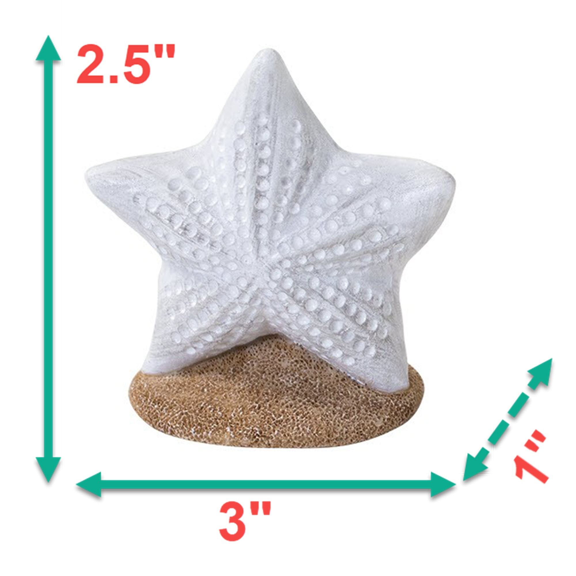 Penn-Plax Coastal Collection Resin Aquarium Decor for Fish Tanks - Small Sized - Selection Will Vary