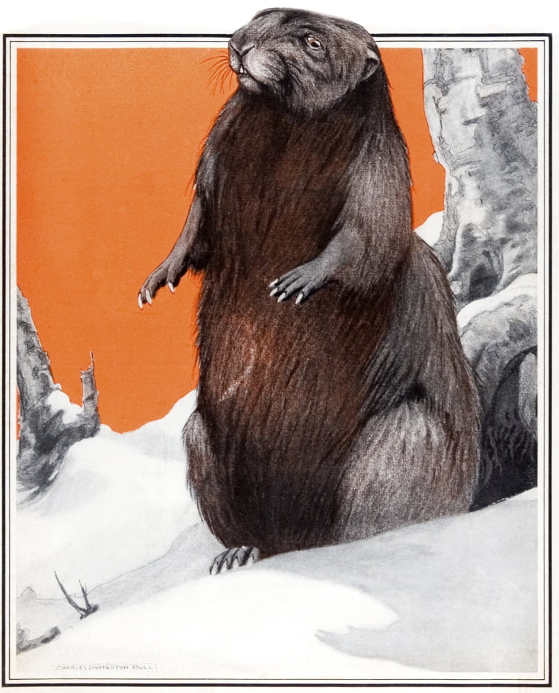 Cover Of Country Ge