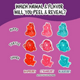 thumbnail image 4 of Juicy Drop Gummy Mystery Cube Wild Berry 3.5oz Peg Bag, 4 of 6
