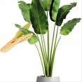thumbnail image 3 of Leaf Cleaning Tongs,Plant Leaf Cleaning Tongs,Plant Leaf Lint Cleaner, 3 of 5