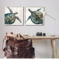 thumbnail image 2 of Stupell Industries Aquatic Sea Turtles Swimming Graphic Art White Framed Art Print Wall Art, Set of 2, Design by Carol Robinson, 2 of 7
