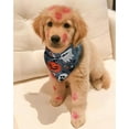 thumbnail image 5 of Cute Halloween Dog Bandanas 2 Pack, Pumpkin Cartoon Ghost Skeleton Spider Dog Scarf, Handkerchief Scarves Gifts for Puppy Large Dogs, 5 of 6