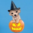 thumbnail image 3 of CafePress - PD Moreno's Halloween Puppy Women's Value T Shirt - Women's Traditional Fit Dark T-Shirt, 3 of 4