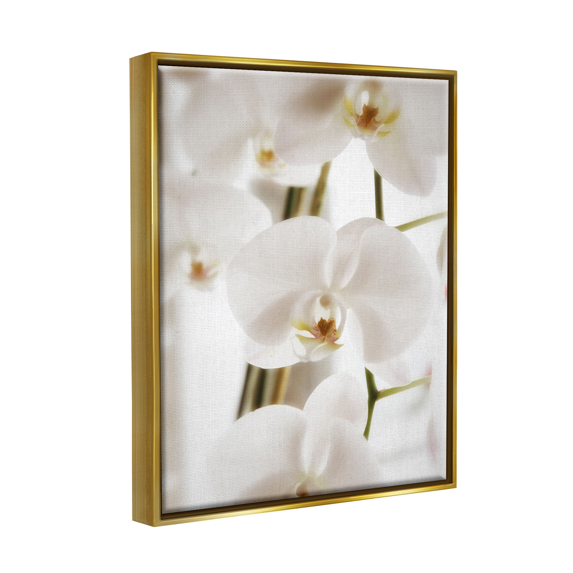 Stupell Elegant White Orchid Petals Botanical & Floral Photography Gold Floater Framed Art Print Wall Art