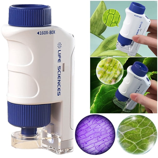 Microscopio bolsillo Bsvklp 60-120X azul con estante