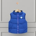 thumbnail image 6 of Esaierr Toddler Kids Winter Down Cotton Vest Jacket for Boys Girls High Neck Warm Puffer Cotton Waistcoat Baby Fall Winter Sleeveless Padded Outwear Jacket Coats 1-8T, 6 of 7