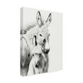 thumbnail image 2 of PHBurchett 'Donkey Portrait V' Canvas Art, 2 of 3