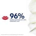 thumbnail image 2 of Aquaphor Lip Repair Lip Balm Stick for Dry, Chapped and Cracked Lips, 2 of 9