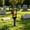 mom Style, variant on PLPPYFS Memorial Plaques for Outdoors Grave Marker Metal Cemetery for Remembrance Cardinal Cross Miss Flower Tree Sign You Crosses Plaque Garden Stake for Appear Ground Bell Heart