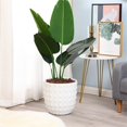 thumbnail image 4 of Luxen Home WHPL1571 MgO Dotted Round Planter, White, 4 of 9