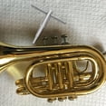 thumbnail image 4 of FONWILYO 1 Set Trumpet Instrument Accessories For Music Practice Needs, 4 of 8