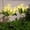 Yellow, variant on Horivan Solar Lilies Flower Lights Outdoor Solar Powered LED Garden Stake Lights Waterproof Landscape Lighting for Yard Patio Pathway Decor