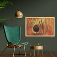 thumbnail image 2 of Rustic Wall Art with Frame, Life Tree Concept with Divided Core Macro Circles Habitat Natural Wonder Growth Photo, Printed Fabric Poster for Bathroom Living Room, 35" x 23", Brown, by Ambesonne, 2 of 2