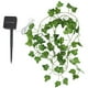 thumbnail image 1 of 10 Metros 100 LED Guirnalda de Hiedra Artificial Luz Planta Artificial Vid Guirnalda Colgante Luces de Hadas LED Iluminación Decorativa de Cadena de Patio, 1 of 7