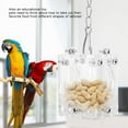thumbnail image 4 of SPRING PARK Parrot Bird Acrylic Cage Feeder Hanging Forage Toys for Parrot Lovebird Finch Canary Cage, 4 of 6