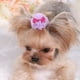 thumbnail image 2 of Billuyoard 4 piezas de horquillas para mascotas, moda, vacaciones, bodas, viajes, vacaciones, parque, caminar, pelos decorativos, suministros de Aseo de mascotas, 2 of 6