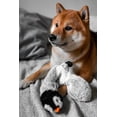 thumbnail image 2 of Squeaky No-Stuffing Dog Toy - 45cm Lifelike Skunk Plush for Small & Medium Dogs/Puppies - Stimulates Hunting Instincts, Interactive Chew Plaything with Loud Squeaker, Safe Polyester Shell Pet Toy, 2 of 6