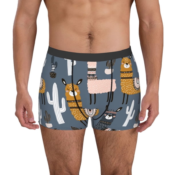 Fotbe Llama and Cactus Calzoncillos Tipo Boxer con Bolsa de Soporte Total para Hombre, X-Temp Fresco, Transpirable y de Secado Rápido-Medium