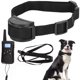 thumbnail image 4 of Collar De Entrenamiento Para Mascotas, Collar De Resistencia A La Abrasión Collar De Vibración Impermeable Recargable Collar De Entrenamiento Recargable Para Mascotas De Fácil Fyydes Descripción de la referencia, 4 of 5