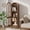 Walnut, variant on Tall Arched Storage Display Cabinet, Arched Pantry Cabinet with Doors, Acrylic Glass Doors