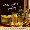 thumbnail image 4 of Gya Tea Co Honey Citrus Mint Tea Pods for Keurig - Herbal, Decaf & Caffeine Free Refreshing Mint & Soothing Honey Tea for All Day Comfort & Tranquility, 4 of 9