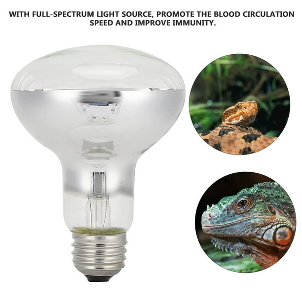 Mini reptile heat store lamp