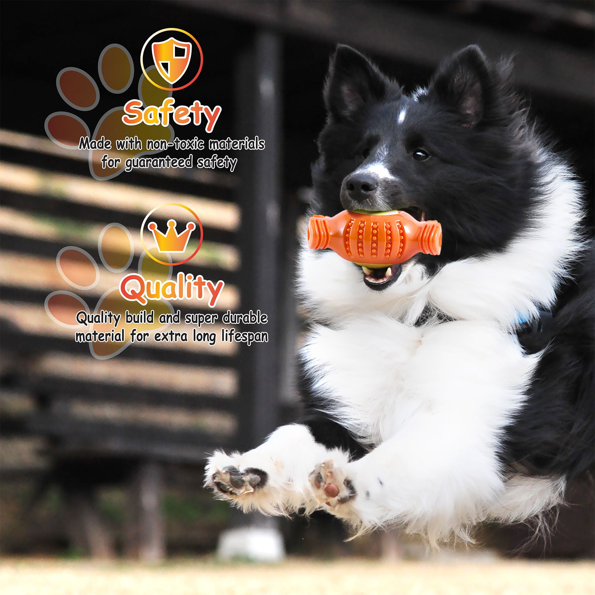orange squeaky dog ball