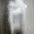 thumbnail image 1 of 2m Quality Fluffy Ostrich Feathers Boas 1ply Carnival Clothing Sewing Accessories Wedding Dress Feather Scarf Decorative Crafts, 1 of 4