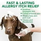 thumbnail image 2 of Champú para perros Vet's Best Allergy Relief, avena y aloe, 473 ml, 2 of 7