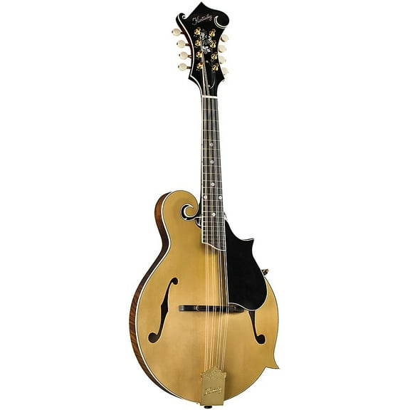 Kentucky KM-858 Artist F-model Mandolin Gold Top