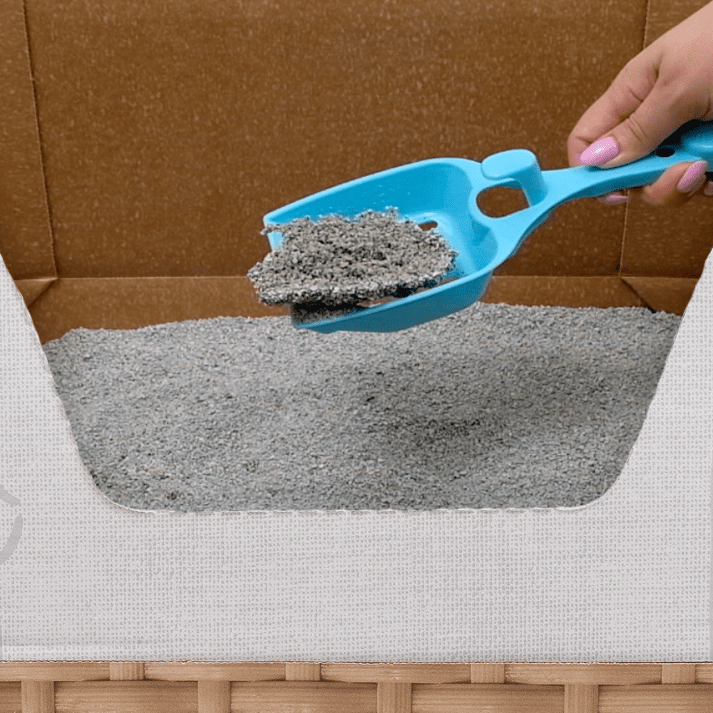 Kitty Poo Club's Eco-Friendly Open Top Cat Litter Box: Large Recyclable Solution with Premium Clay Litter