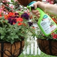 thumbnail image 2 of Safer Brand 32 fl oz Ready-To-Use Rose & Flower Insect Killer OMRI Listed for Organic Use, 2 of 4