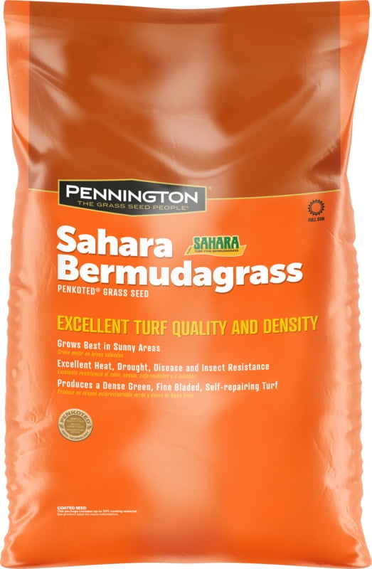 Pennington Sahara Bermudagrass Grass Seed, for Southern Lawns; 15 Pound