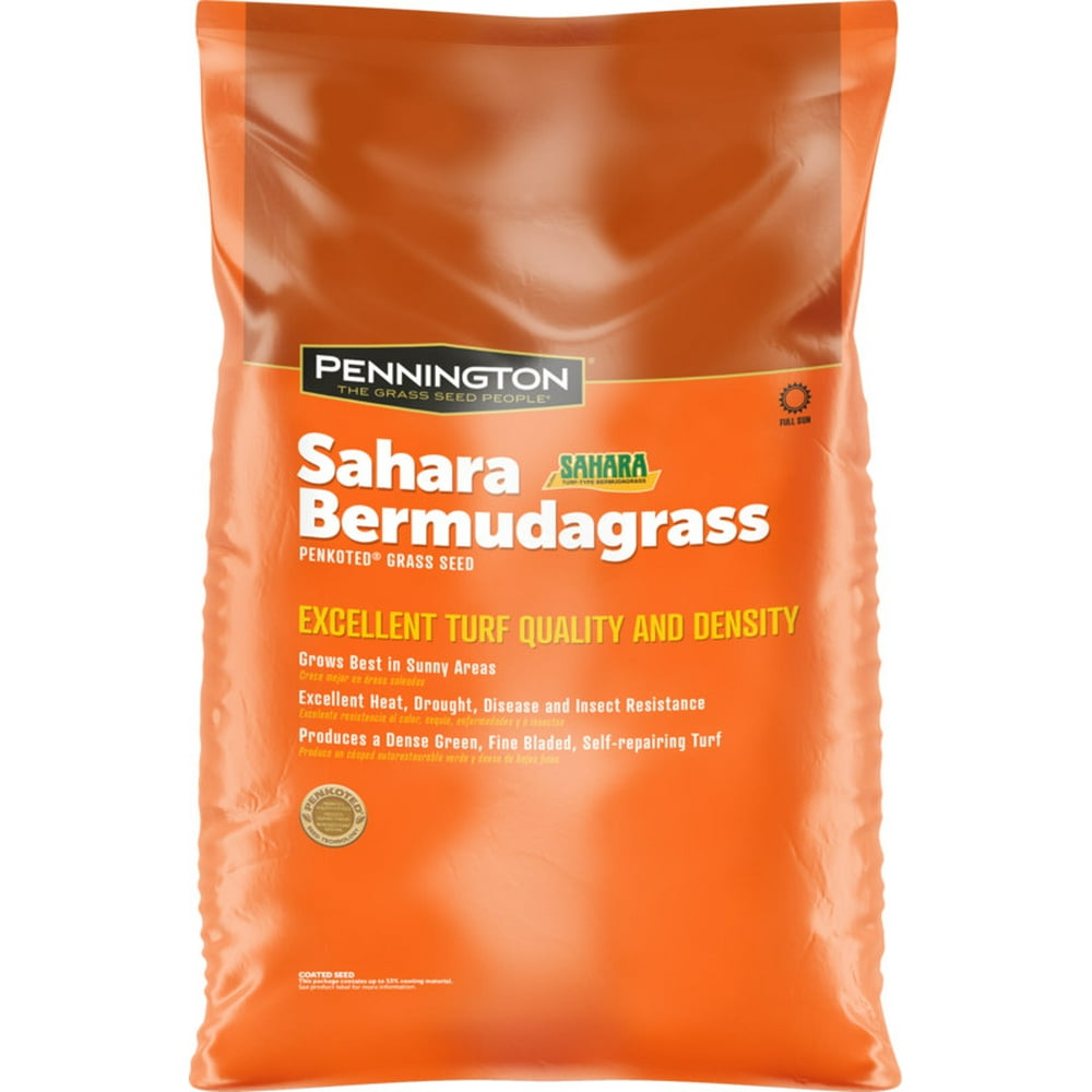 Pennington Sahara Bermudagrass Grass Seed, for Southern Lawns; 15 Pound