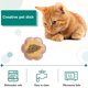 thumbnail image 3 of S La comida para gatos de cerámica de la forma de la flor platea los cuencos bajos para los gatitos y los animales pequeños, 3 of 5