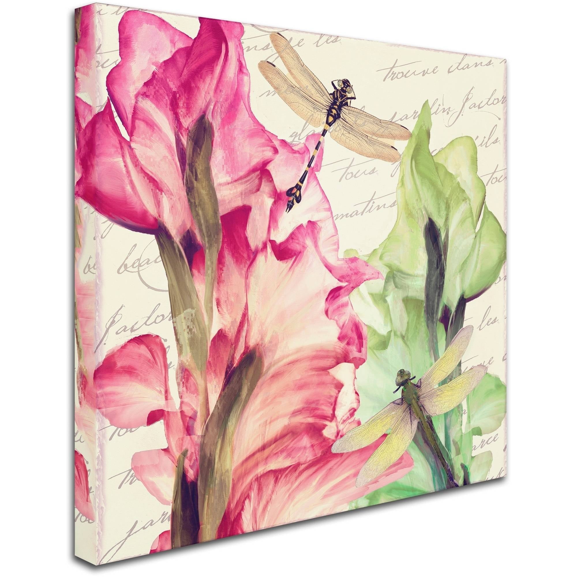 Trademark Fine Art "Dragonfly Morning II" Canvas Art by Color Bakery