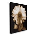 thumbnail image 3 of Stupell Modern Sepia Mum Flower Botanical & Floral Photography Gallery Wrapped Canvas Print Wall Art, 3 of 5