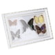 thumbnail image 1 of EBTOOLS Exquisitas Mariposas Insecto Espécimen Artesanía Regalo De Cumpleaños Decoración Del Hogar Ornamento Mariposa Sombra Caja Polilla Pinn Práctico, 1 of 7