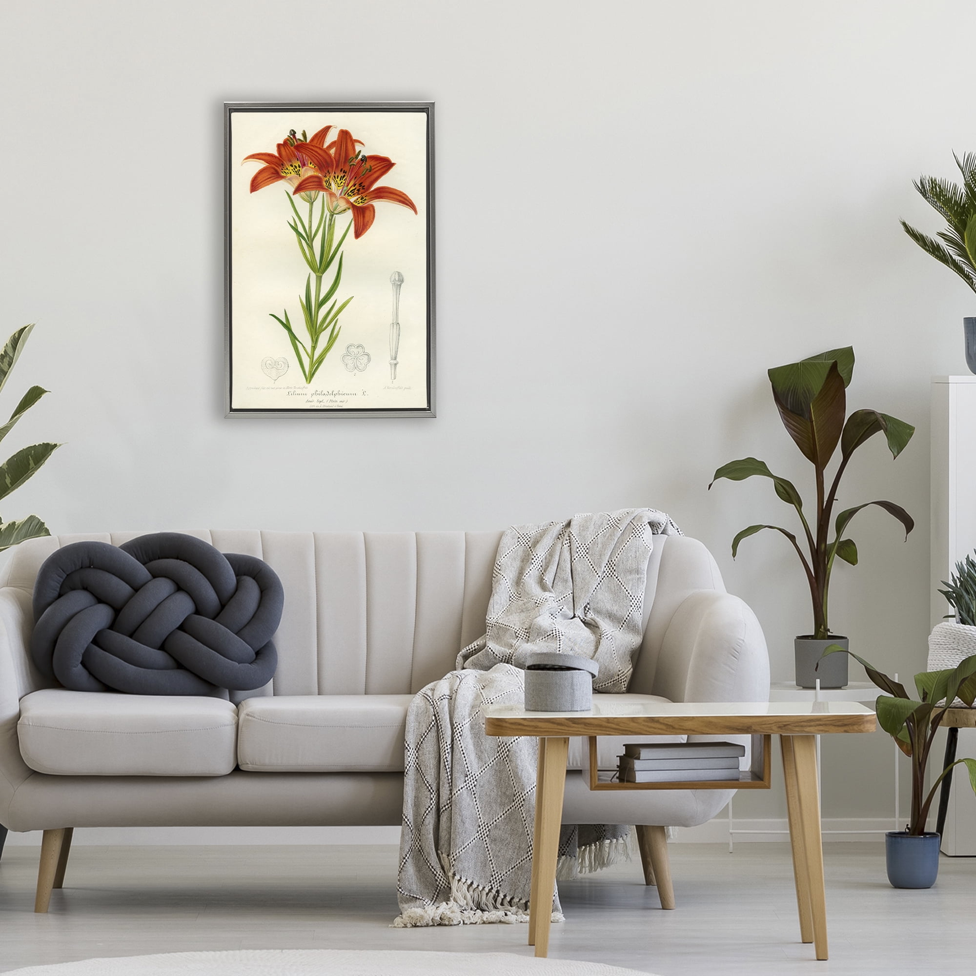 Stupell Industries Western Red Lily Gray Framed Floater Canvas Wall Art, design by Print Collection