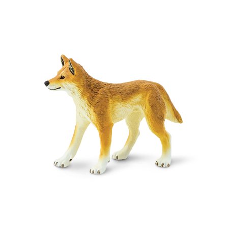 Childrens Safari Animals - Wild Safari Wildlife Dingo Safari Ltd Animal Educational Kids Toy Figure