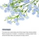thumbnail image 4 of Flores Artificiales Baby's Breath Azul Claro 3 Ramas 21 Piezas Tacto Real, 4 of 6