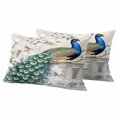 thumbnail image 6 of Luxury Peacock Outdoor Pillow Covers 20x12 Inch Lumbar Pillow Covers Set of 2 Waterproof Decorative Throw Pillow Cases Watercolor Vintage Floral Attic Cushion Covers for Patio Furniture Garden Couch, 6 of 8