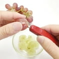 thumbnail image 4 of Grape Peeler Fruit Grape Skin Peeler Remover Mini Portable Kitchen Gadget Peeling Tool Purple Potatoes to Cook Tip Out Tray Set Glass Bottle Japanese Coupe Disc Hand Beater Small Cheese Grater, 4 of 4