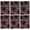 Pioneer Flower Floral, variant on 6 Pcs Funny Kitchen Towels,Pioneer Flower Floral Print Pattern Microfiber Dish Towels,Kitchen Tea Towels,Kitchen Towel Set (18" X 26")